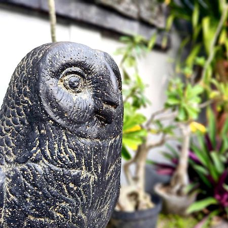 Panda Lumbung Bed & Breakfast Sanur Екстериор снимка