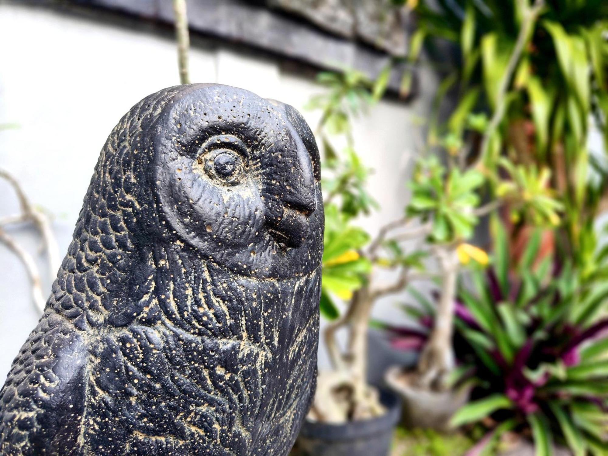 Panda Lumbung Bed & Breakfast Sanur Екстериор снимка
